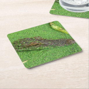 Porta-copo De Papel Quadrado Alligador