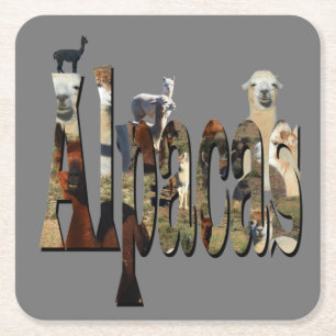 Porta-copo De Papel Quadrado Alpacas Com Logotipo De Imagem Alpaca, Porta copos
