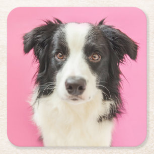 Porta-copo De Papel Quadrado Amante de Cachorro Cachorrinho Rosa Border Collie