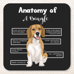 Porta-copo De Papel Quadrado Anatomia De Um Cão Engraçado De Beagle Oferece Pre