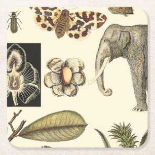 Porta-copo De Papel Quadrado Animais Partilhados Pintados em Fundo de Creme