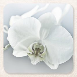 Porta-copo De Papel Quadrado Arte Botânica de Orquídea Branca Elegante