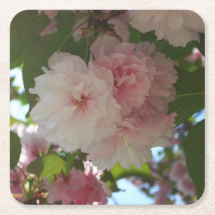 Porta-copo De Papel Quadrado Árvore de cereja I Primavera Floral com duas flor