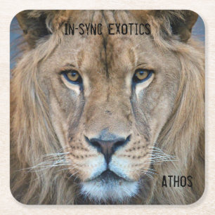 Porta-copo De Papel Quadrado Athos -