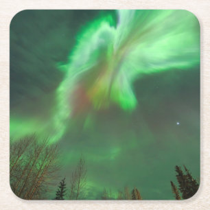 Porta-copo De Papel Quadrado Aurora Boreal Luzes do Norte   Fairbanks