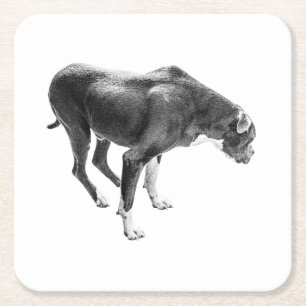 Porta-copo De Papel Quadrado Autumn Mesa Guardian