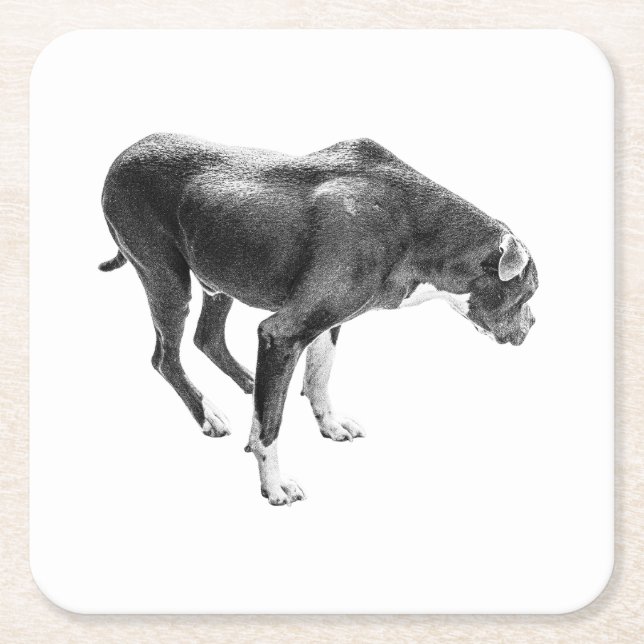 Porta-copo De Papel Quadrado Autumn Mesa Guardian (Frente)