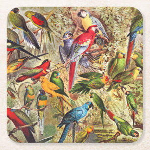 Porta-copo De Papel Quadrado Aves Tropicais Coloridas Vintage