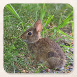 Porta-copo De Papel Quadrado Babby Bunny Paper Porta copos