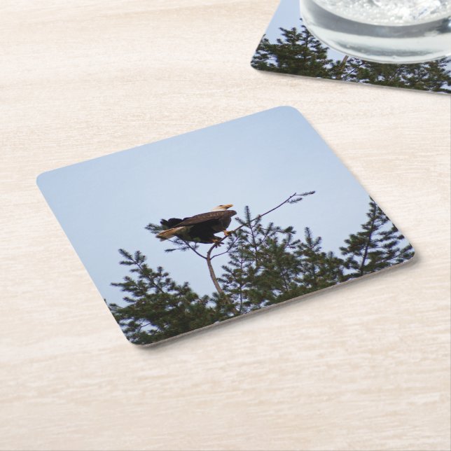 Porta-copo De Papel Quadrado Bald Eagle (Inclinado)