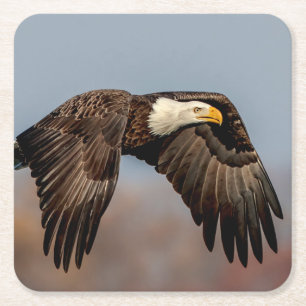 Porta-copo De Papel Quadrado Bald Eagle em voo