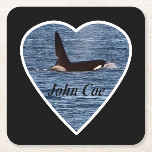Porta-copo De Papel Quadrado Baleia Assassina da Costa Oeste "John Coe" Montanh