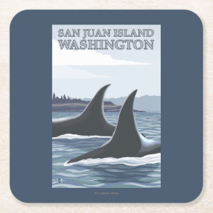 Porta-copo De Papel Quadrado Baleias #1 da orca - ilha de San Juan, Washington