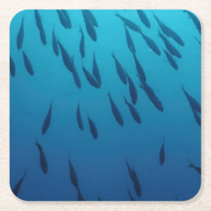 Porta-copo De Papel Quadrado Banco de areia dos peixes