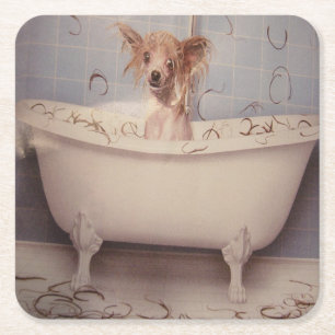 PORTA-COPO DE PAPEL QUADRADO BANHO