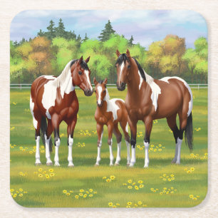Porta-copo De Papel Quadrado Bay Pinto Paint Quarter Horses Na Pastagem De Verã