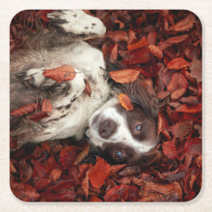 Porta-copo De Papel Quadrado Bebês Mais Pobres Espanhol nas Folhas de outono