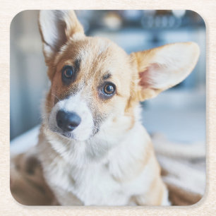 Porta-copo De Papel Quadrado Bebês Mais Pobres Inclinação da cabeça de Corgi