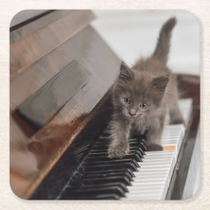 Porta-copo De Papel Quadrado Bebês Mais Pobres Kitten on Piano