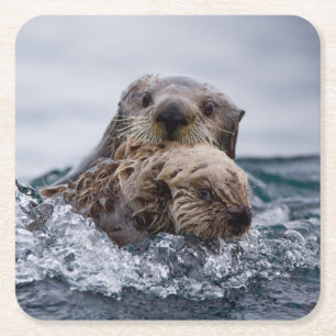 Porta-copo De Papel Quadrado Bebês Mais Pobres   Outro Bebê e mãe
