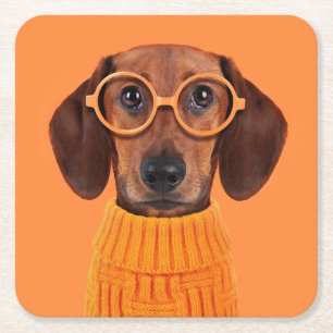 Porta-copo De Papel Quadrado Bebês Mais Pobres Suéter de laranja Dachshund