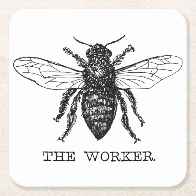 Porta-copo De Papel Quadrado Bee Worker Honey Black Bumblebee (Frente)
