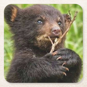 Porta-copo De Papel Quadrado Belo Bear