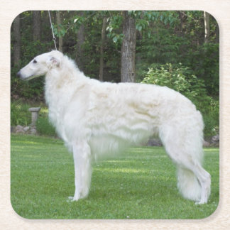 Porta-copo De Papel Quadrado Belo Borzoi