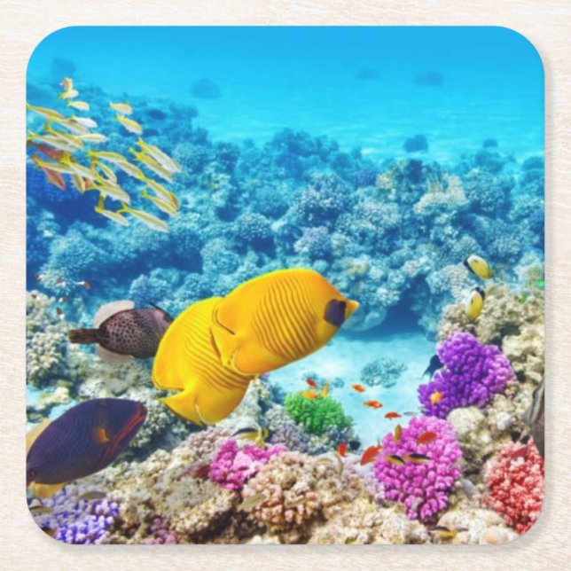 Porta-copo De Papel Quadrado Belo conjunto de Portas copos de peixe (Frente)