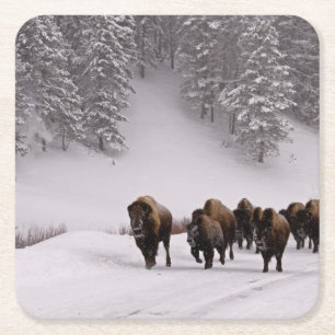Porta-copo De Papel Quadrado Bisonte no inverno