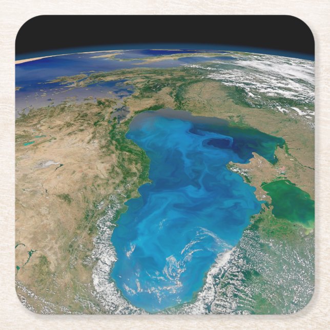 Porta-copo De Papel Quadrado Bloom De Fitoplâncton Azul No Mar Negro (Frente)