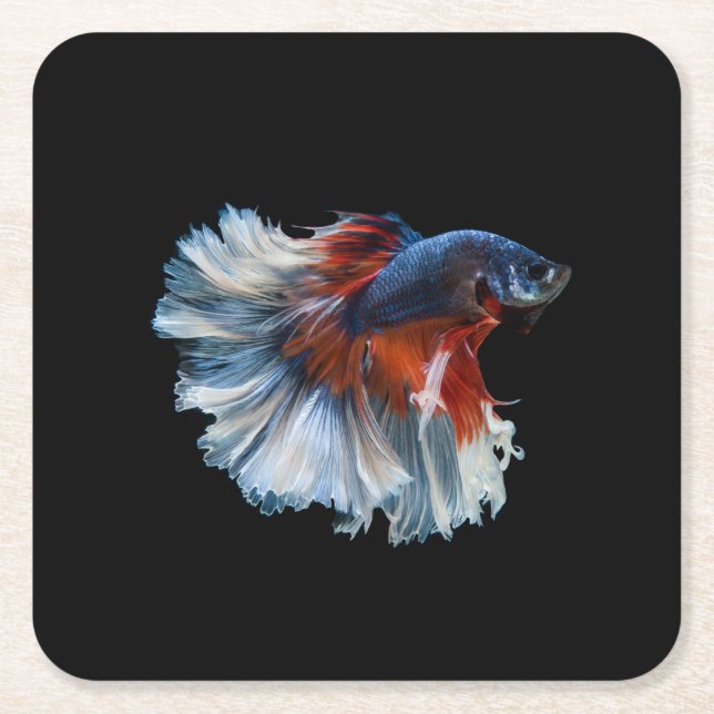 Porta-copo De Papel Quadrado Bonita Betta Fish Siamesa (Frente)