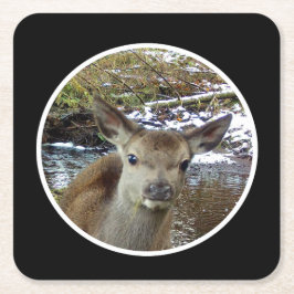 Porta-copo De Papel Quadrado Bons veados para a Porta copos de papel da câmera