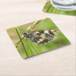 Porta-copo De Papel Quadrado Borboleta branca marmoreada na grama
