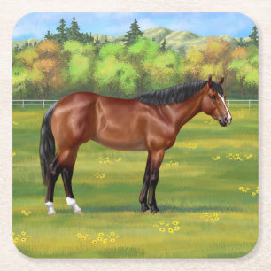 Porta-copo De Papel Quadrado Brown Bay Quarter Horse