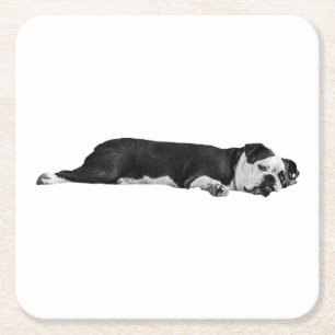 Porta-copo De Papel Quadrado Bulldog preguiçoso, Mesa Neat