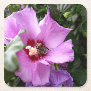 Porta-copo De Papel Quadrado Bumblebee na Flor de Hibiscus