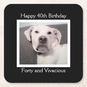 Porta-copo De Papel Quadrado Cachorro Branco Engraçado Fofo Mal-Humorado Aniver
