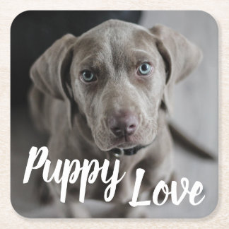 Porta-copo De Papel Quadrado Cachorro de Weimaraner Cujo Amor Com Cãozinho