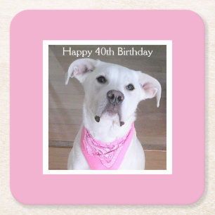 Porta-copo De Papel Quadrado Cachorro Feliz e Fofo Com Olhos Cheios de Alma Ani