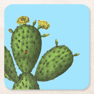 Porta-copo De Papel Quadrado Cacto com flores amarelas