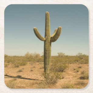 Porta-copo De Papel Quadrado Cacto solitário