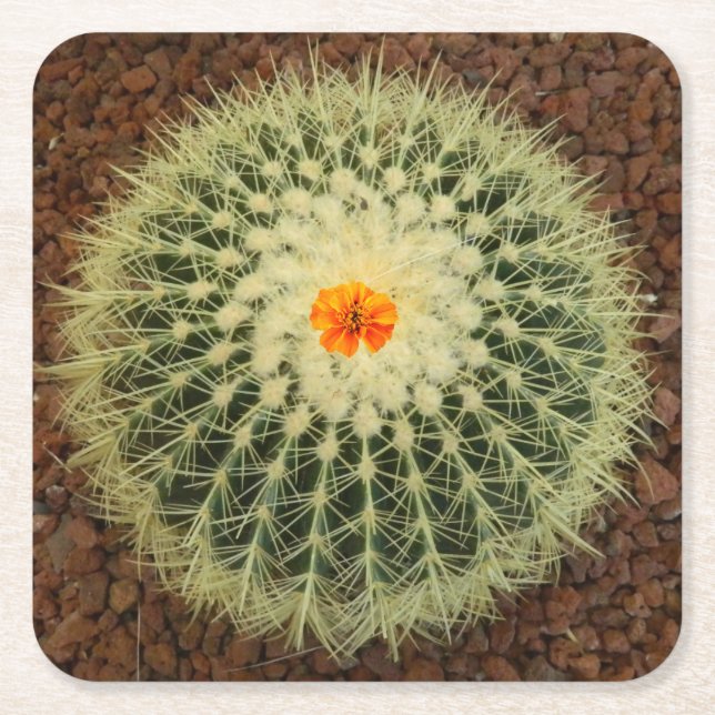 Porta-copo De Papel Quadrado Cactus e Flor (Frente)