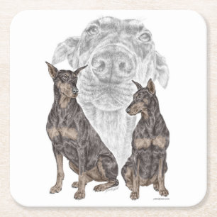 Porta-copo De Papel Quadrado Cães Black e Tan Doberman