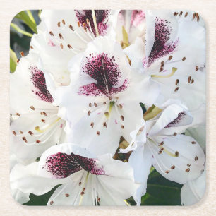 Porta-copo De Papel Quadrado Calsap Rhododendrons