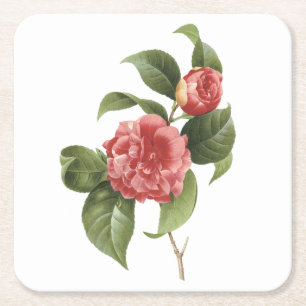 Porta-copo De Papel Quadrado camellia comum (Camellia japonica) por Redouté