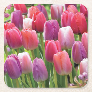Porta-copo De Papel Quadrado Campo de conjunto de Portas copos de tulipas
