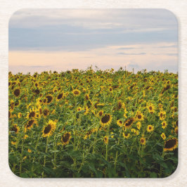 Porta-copo De Papel Quadrado Campo de girassol à noite