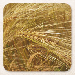 Porta-copo De Papel Quadrado Campo de trigo. É o tempo de colheita!