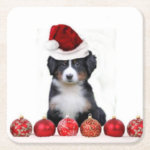 Porta-copo De Papel Quadrado Cão de montanha de Bernese do Natal